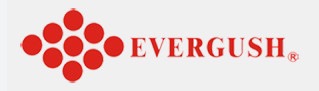 Evergush – Máy Bơm & Máy Khuấy Chìm Chính Hãng tại 1Depot