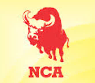 NCA Bufalo Japan – Nhám Công Nghiệp & Giải Pháp Mài Mòn Chính Hãng tại 1Depot