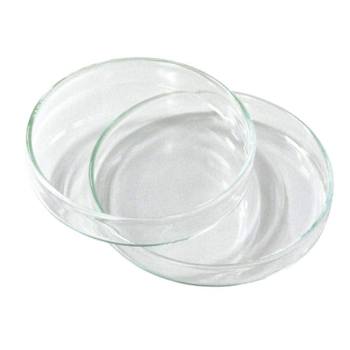 Đĩa Petri Nhựa – Dùng Một Lần, Tiện Lợi & Vô Trùng | 1Depot
