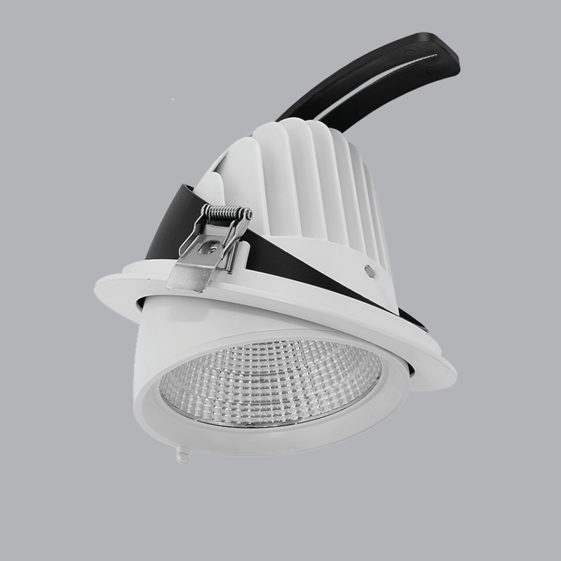 Đèn Led downlight điều chỉnh MPE 20W, 125X100mm - DLA-20V ánh sáng vàng
