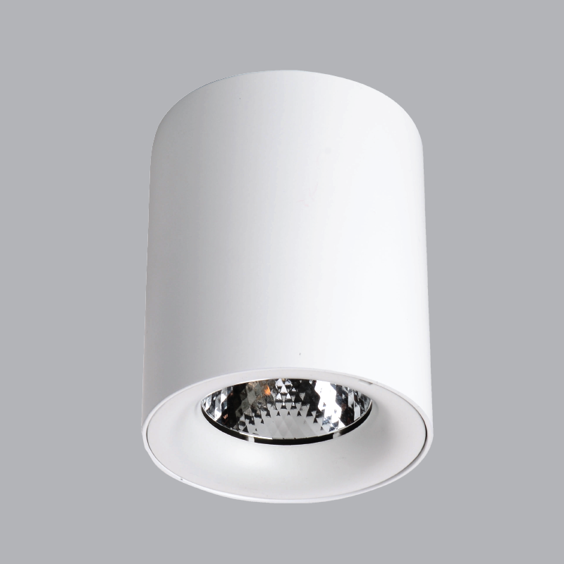 Đèn Led downlight tròn lắp nổi MPE 12W, 80.6x100mm - SDL-12V ánh sáng vàng