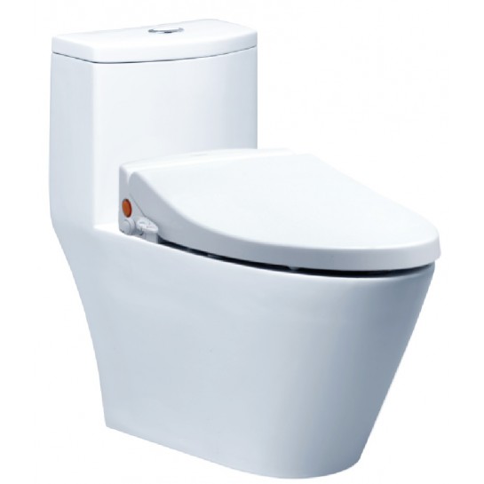 Bồn Cầu Kết Hợp Đa Năng Caesar CD1363 + Nắp Cơ TAF050