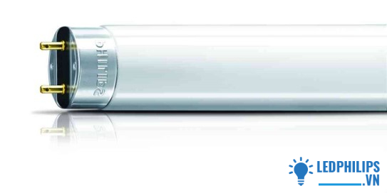 Chuột đèn huỳnh quang Philips S10-P 4-65W, 25 cái/hộp