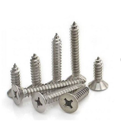 Vít bắn gỗ, vít bắt tắc kê đầu bằng Inox, kích thước 4x30mm