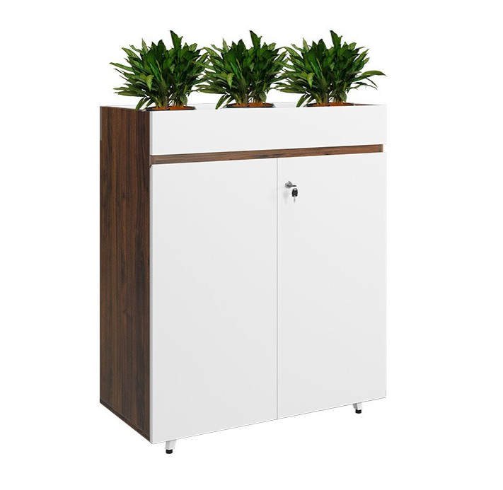 Tủ tài liệu LUXURY LUX1000-2T2